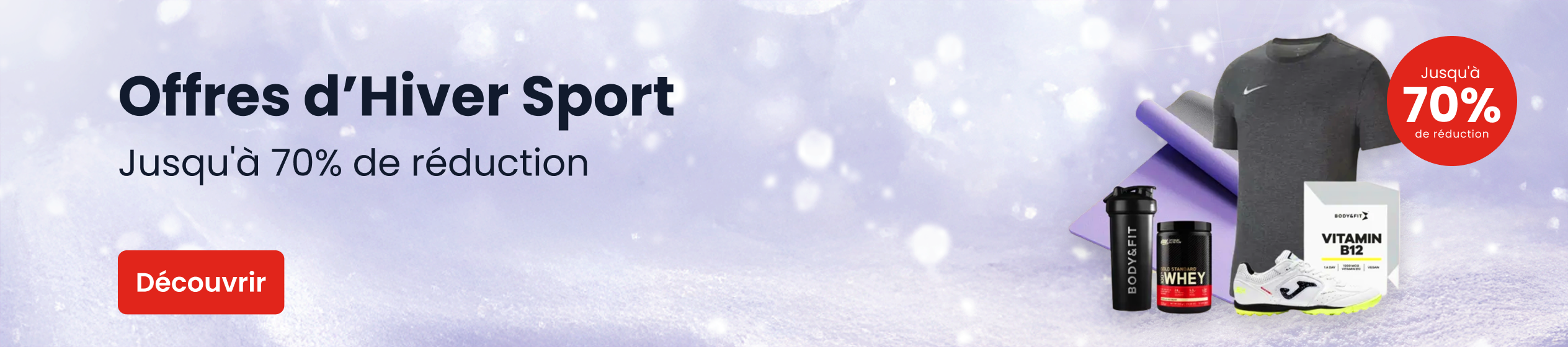 Big Promotion banner