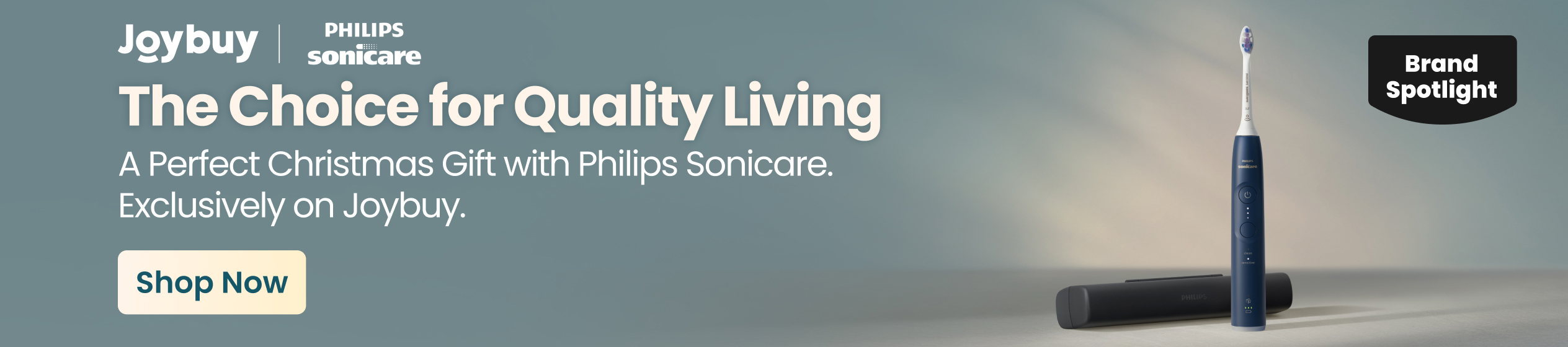 Big Promotion banner