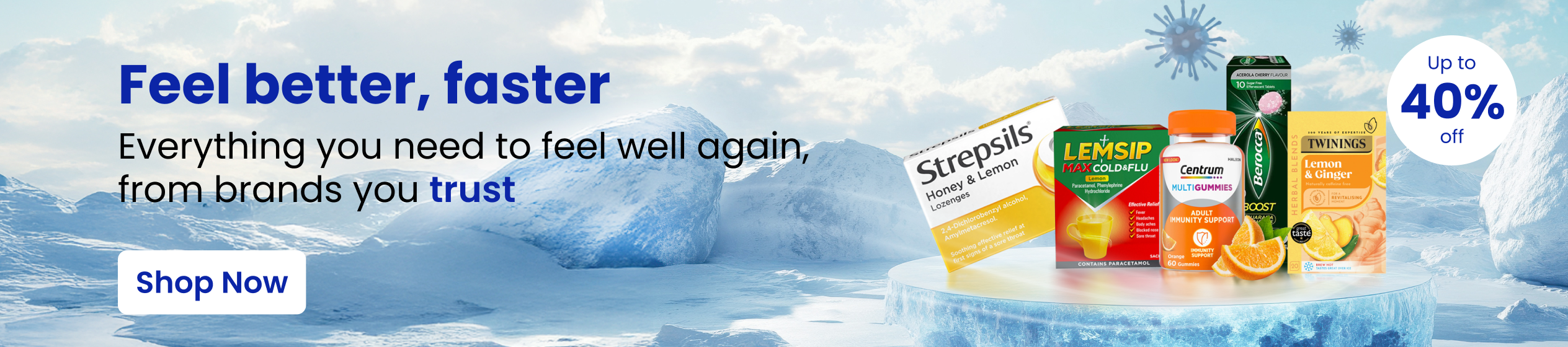 Big Promotion banner