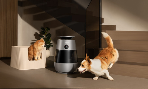 Moins de poils, plus d’air frais, plus de plaisir.