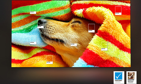 Der Inbegriff von Farbtreue ermöglicht die akkurate Darstellung von bis zu 2.140 Pantone-Farben und 110 hinzugefügten Hauttönen. ¹⁰