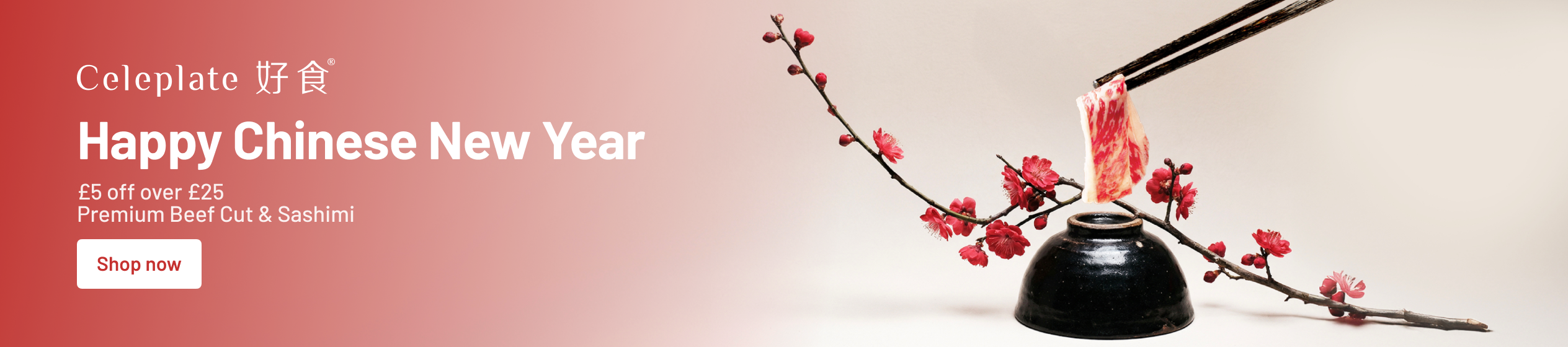 Big Promotion banner