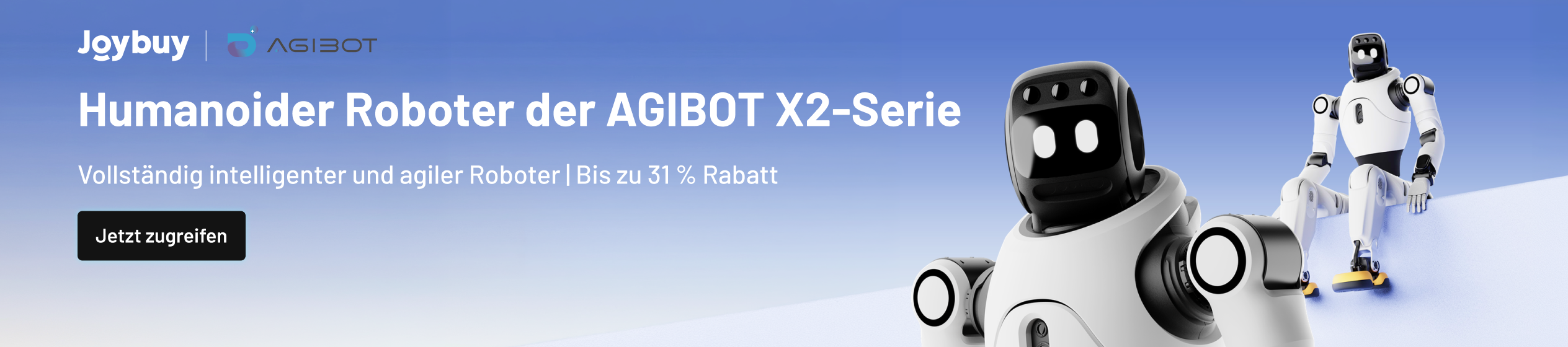 Big Promotion banner