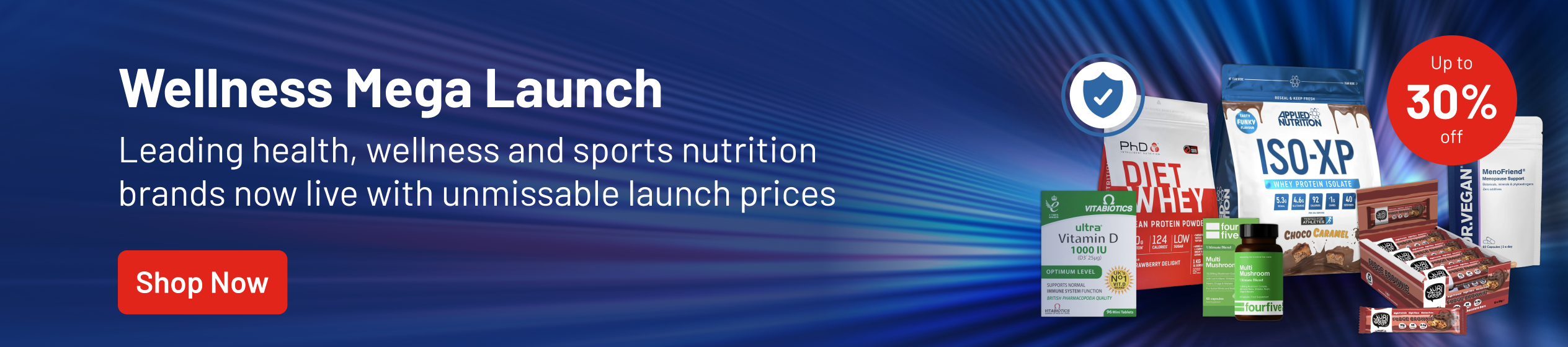 Big Promotion banner