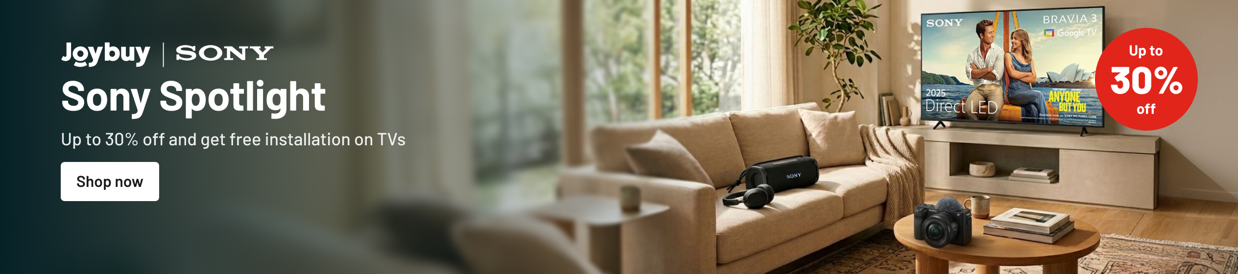 Big Promotion banner