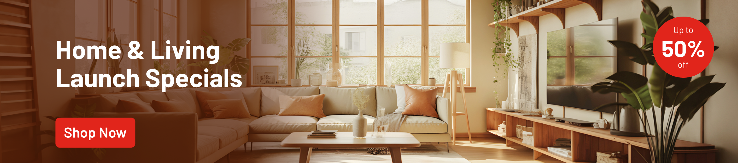 Big Promotion banner