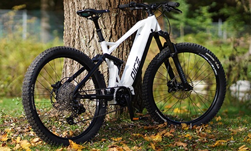 De Prophete MTB E-Bikes zijn thuis op elk terrein. Met de krachtige e-bike motoren kun je hellingen moeiteloos overwinnen.