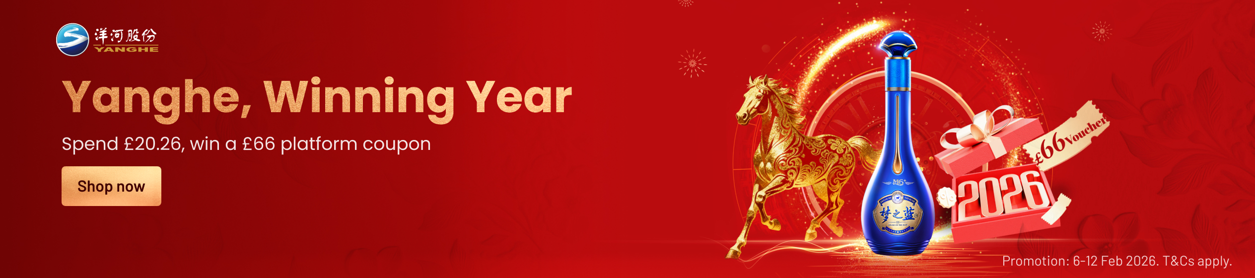 Big Promotion banner