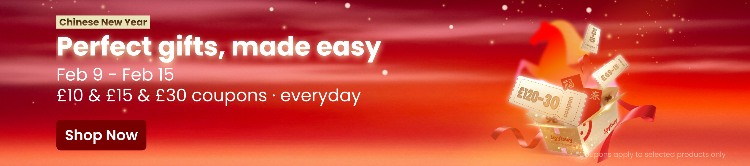 Big Promotion banner