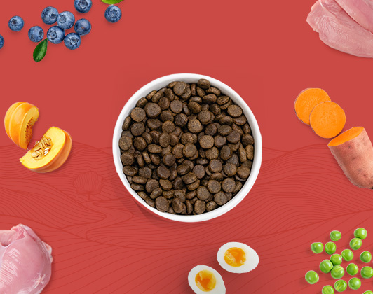 Premium natural dry dog food rich in meat to help dogs thrive. Added natural supplements support skin, coat, digestion, immunity and wellbeing.