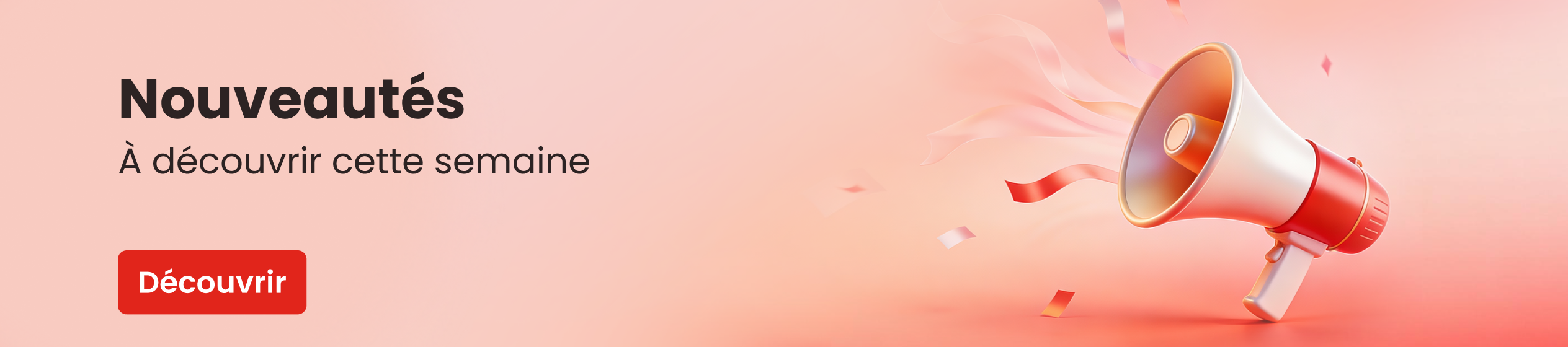 Big Promotion banner