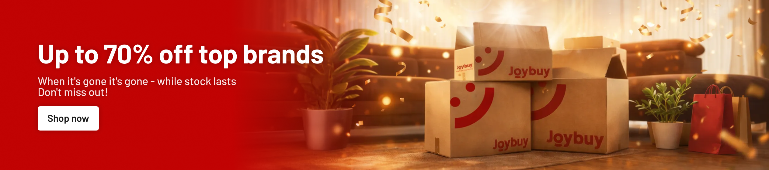 Big Promotion banner