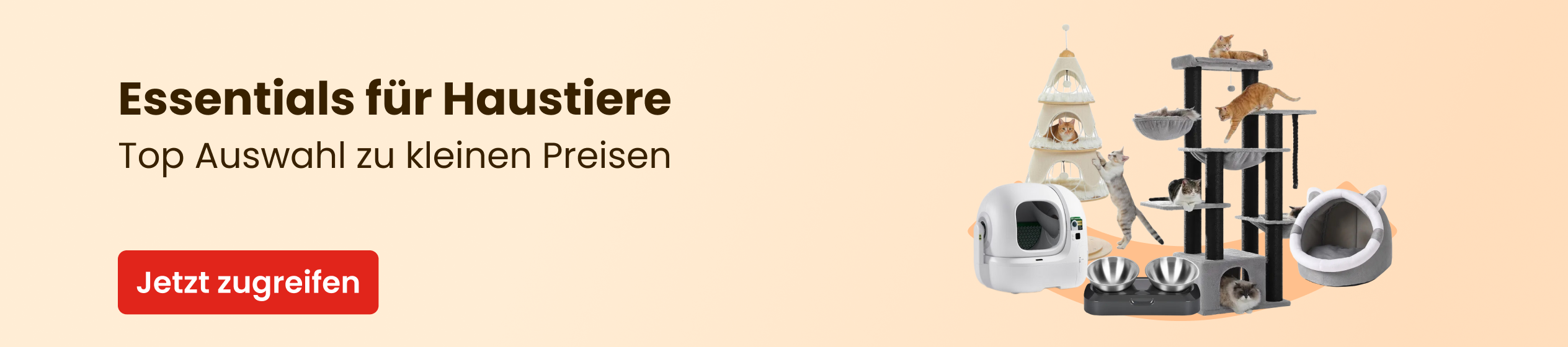 Big Promotion banner