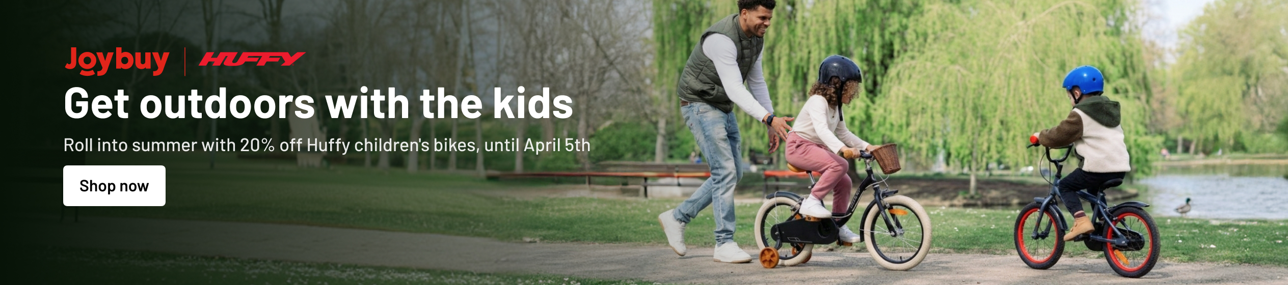 Big Promotion banner