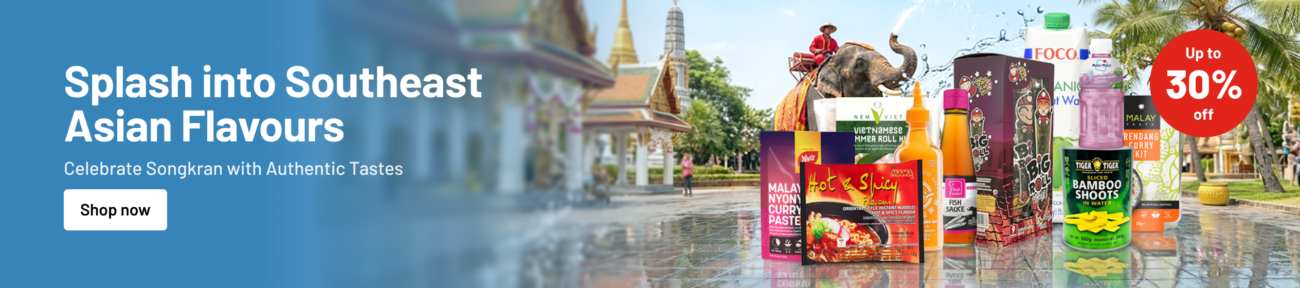 Big Promotion banner