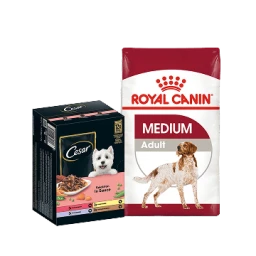Hundefutter & Zubehör