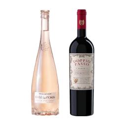 Wein & Sekt