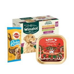 Dog Food & Accessories
