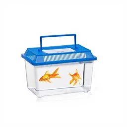 Insektenbox – zufällige Auswahl aus einer 2er-Packung mit verschiedenen Designs – 1 Stück