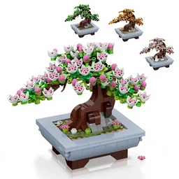 Ganzjährige Topfpflanzen