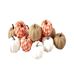Occasions & Seasonal Events