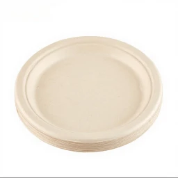 J.ZAO Disposable Plates, 20 pieces