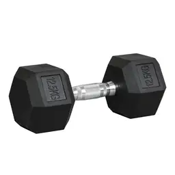 Homcom Dumbbell Set