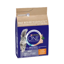 Cat Food & Accessories