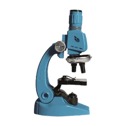 Learning, Discovery & Science