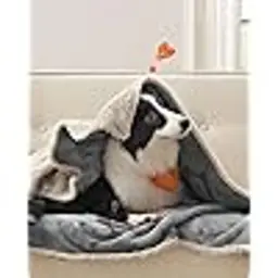 FEANDREA Couverture imperméable pour chien 152x127cm XL Lavable en machine Réversible Gris