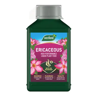 Westland Ericaceous Plant Feed 1L