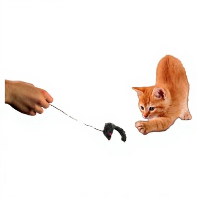 Spielzeugmaus für Katzen – zufällige Auswahl aus einer 3er-Packung mit verschiedenen Designs – 1 Stück