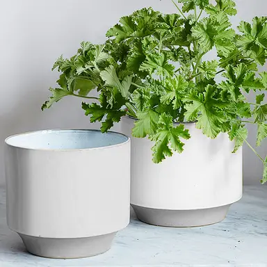 Fablon Sticky Back Plastic White Matt 0.675x2m