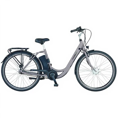 Prophete Geniesser e5000 Elektrische Stadsfiets 28 inch LED-Display Voorwielmotor