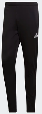 Adidas Entrada 22 Training Pant in Black