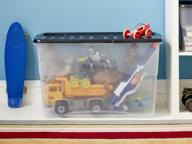 Strata 100L Curve Box with Lid- Clear/Black Lid