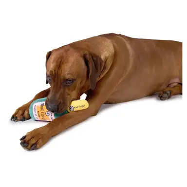 Hundespielzeug Flasche mit Geräusch - Spielspaß 4er Set