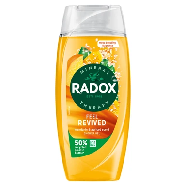 Radox Mineral Therapy Body Wash Feel Revived 225ml