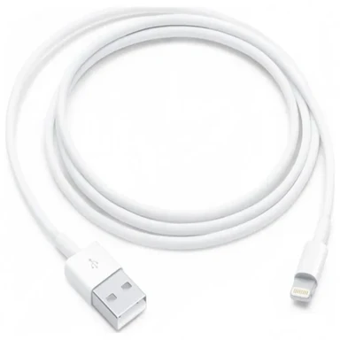Apple USB to Lightning cable (1m)