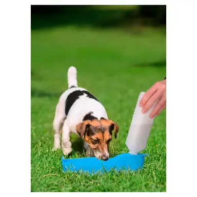 Hunde-Trinkflasche 450 ml - Zufällige Auswahl aus einem Sortiment von 4 verschiedenen Designs - 1 Stück