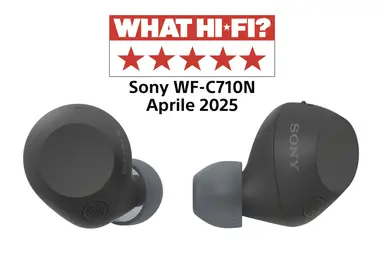 Sony WF-C710N Volledig Draadloze Oordopjes met Ruisonderdrukking - Zwart