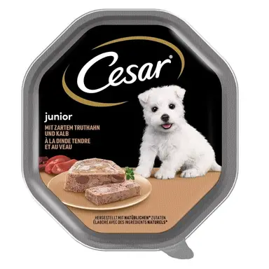 Cesar Junior Schale mit Zartem Truthahn und Kalb 150g