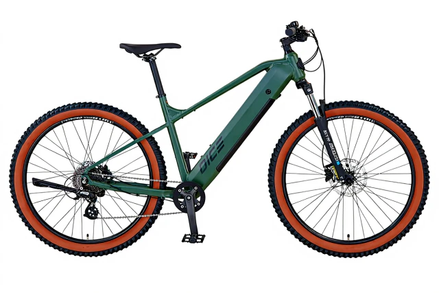 Prophete E-Bike DICE 1.0, Heckmotor, Rahmenhöhe 48 cm