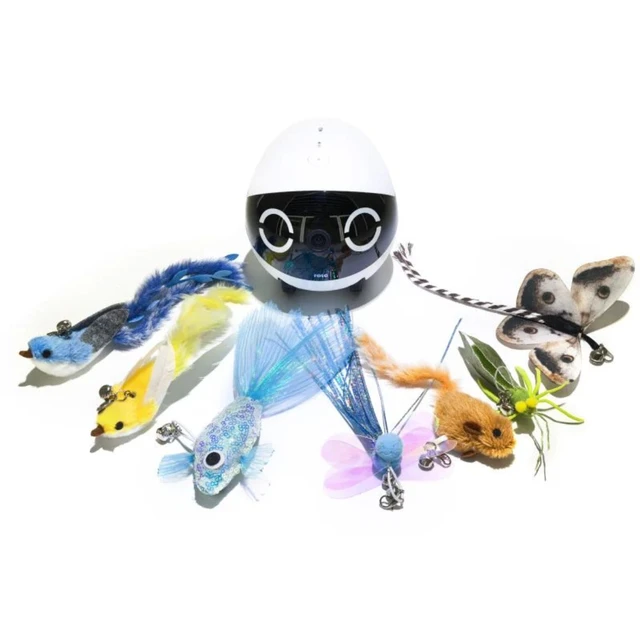 Enabot ROLA Mini Accessories (Cat Teaser Wand Set), Dedicated Interactive Toy for Pet Robot