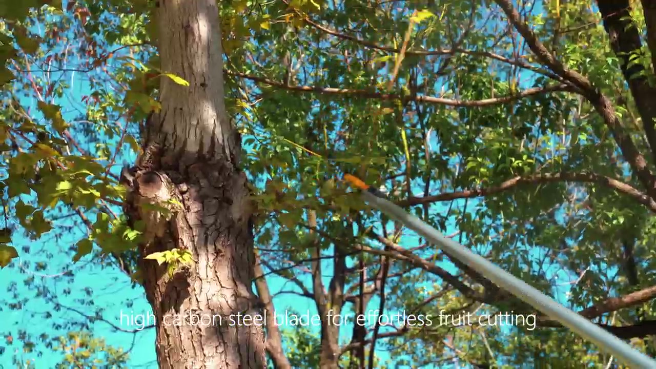 FLORA GUARD Taille-branches télescopique 1,4 à 3 m - Griffe à arbres, Griffe à fruits, Taille-branches télescopique - Taille-branches légers image 0