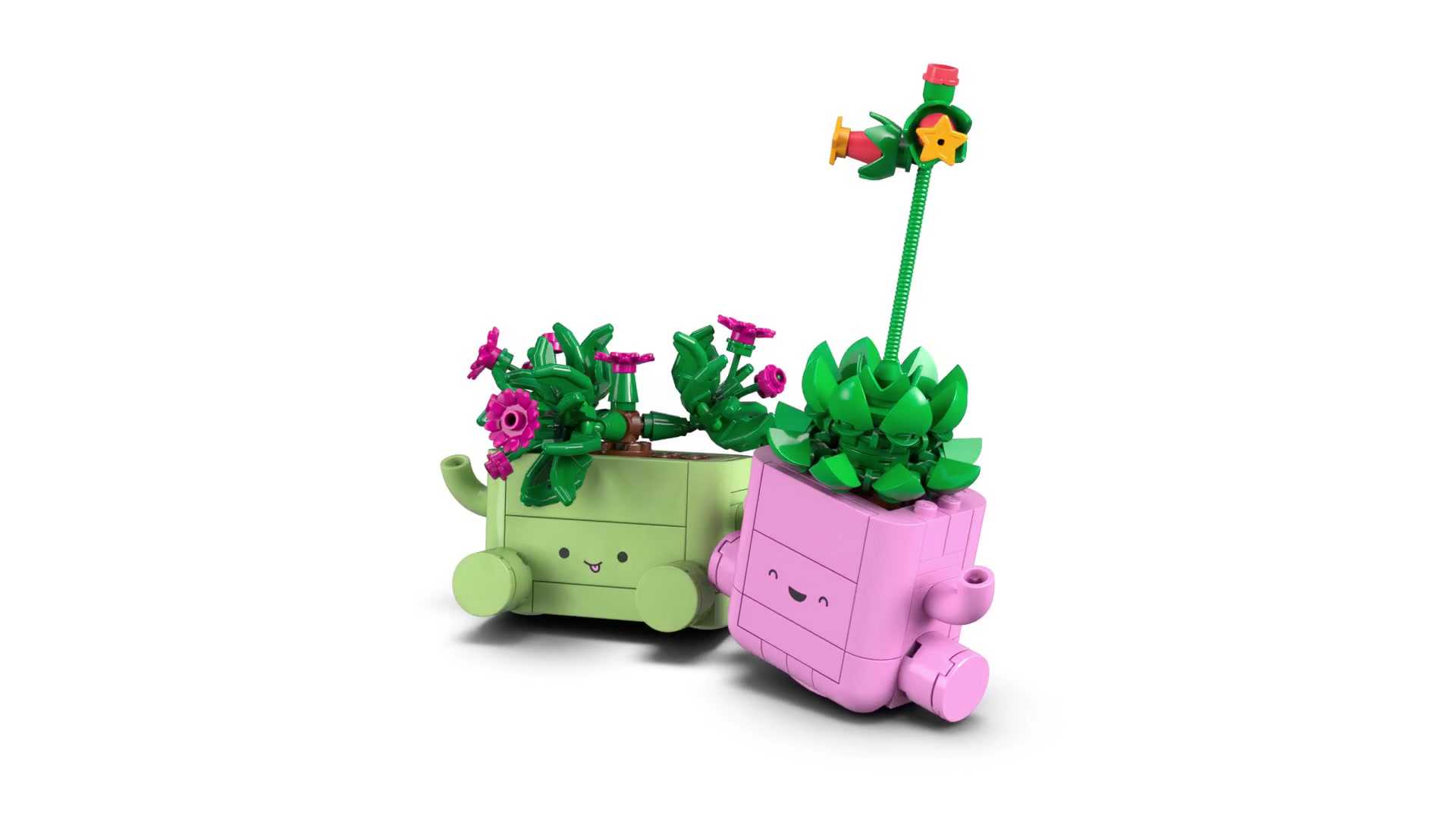LEGO Botanicals 11506 Rocking Plants image 1