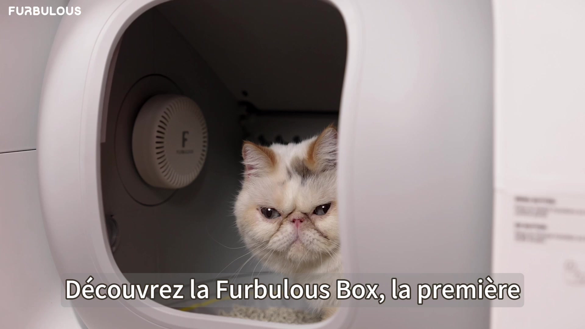 Furbulous Première Litière Automatique pour Chat au Monde avec Scellage Automatique et Sacs, Pack d'Essai de 60 Jours, Sécurité Certifiée TÜV Allemagne, Remplissage Automatique de Sacs Poubelle, Contrôle Intelligent par Application, pour Foyers Multi-Chats image 0