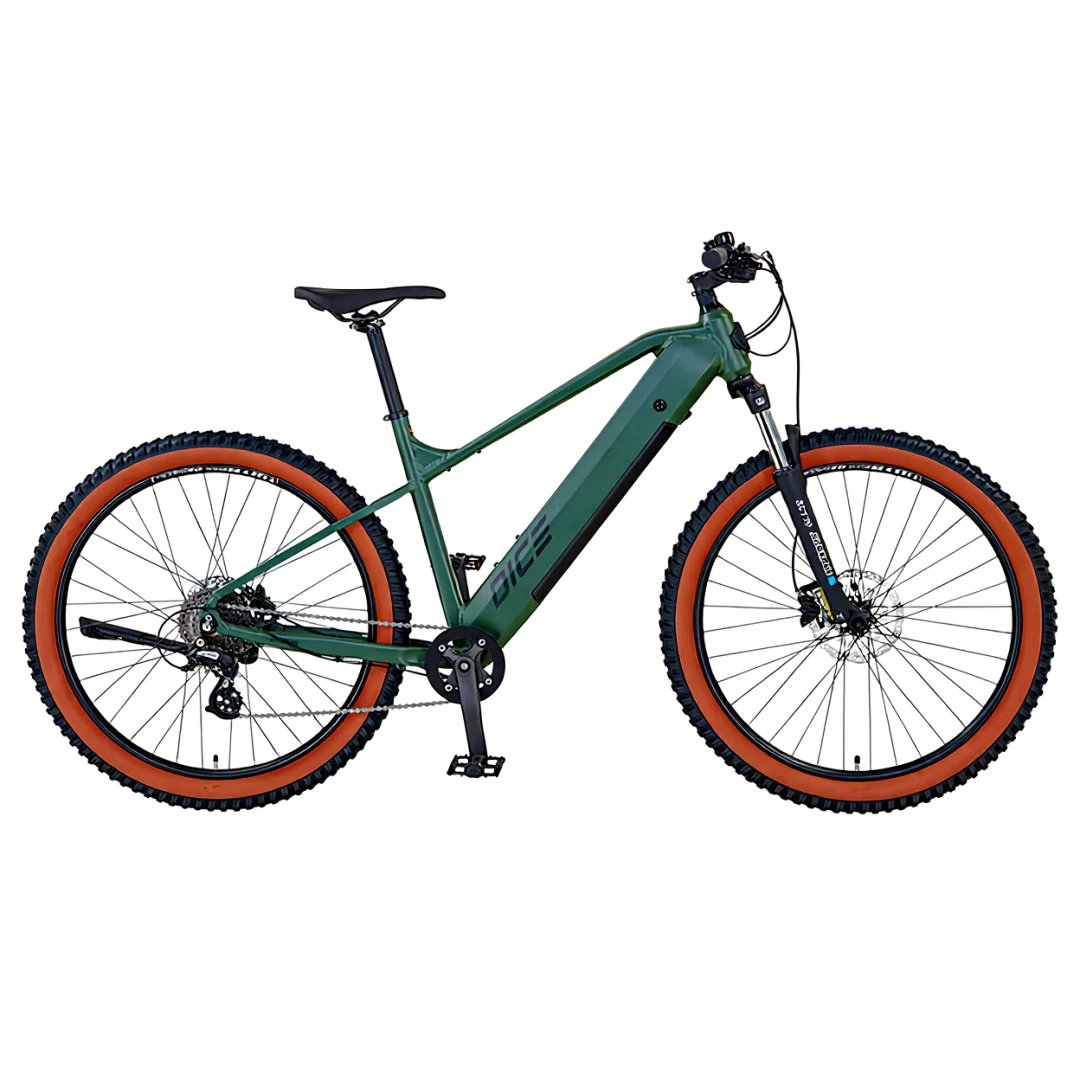 Prophete E-Bike DICE 1.0, Heckmotor, Rahmenhöhe 48 cm
