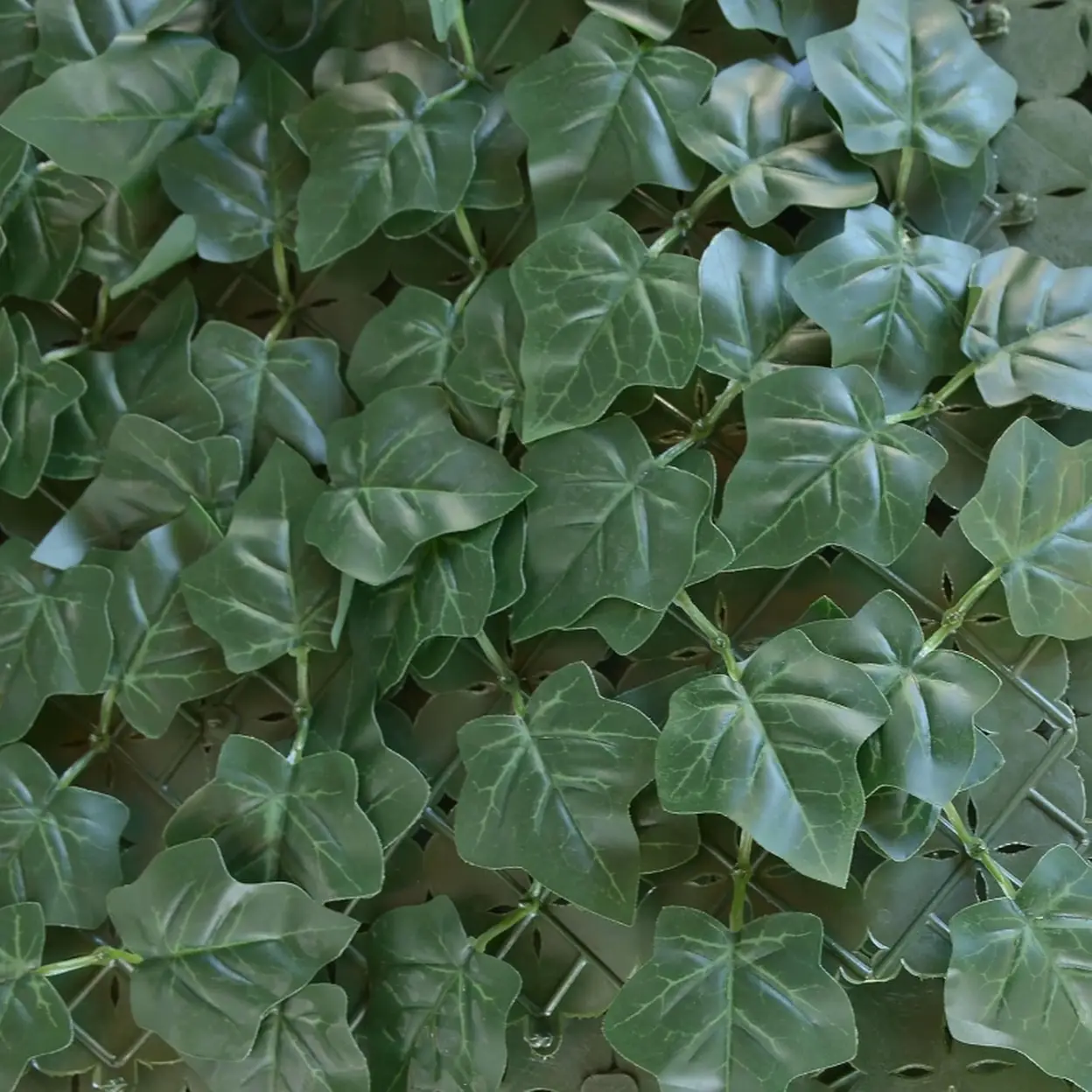 Divy TENAX Divy Hedera Plus Haie synthétique verte - 100 x 300 cm | Fleurs ...