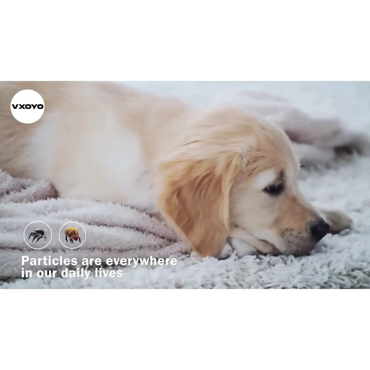 video cover image